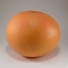 Citrus x aurantium -- Grapefruit
